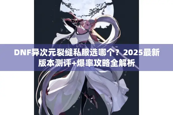 DNF异次元裂缝私服选哪个？2025最新版本测评+爆率攻略全解析