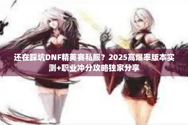 还在踩坑DNF精英赛私服？2025高爆率版本实测+职业冲分攻略独家分享