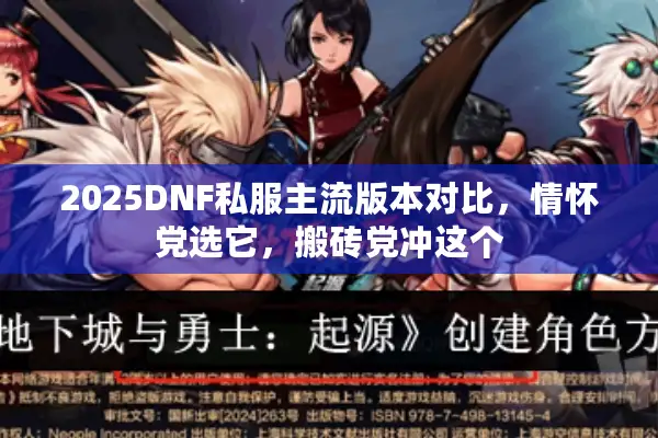 2025DNF私服主流版本对比，情怀党选它，搬砖党冲这个