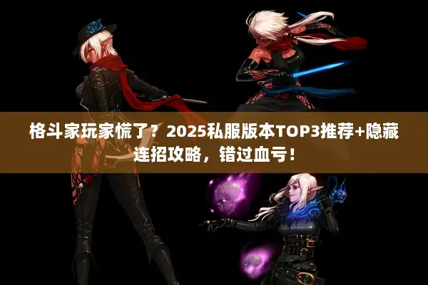 格斗家玩家慌了？2025私服版本TOP3推荐+隐藏连招攻略，错过血亏！
