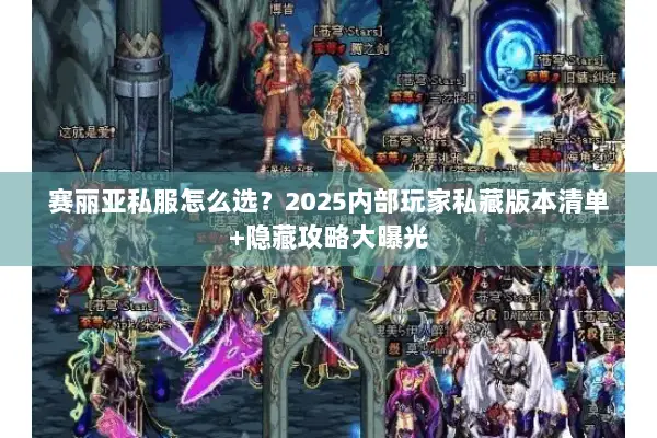赛丽亚私服怎么选？2025内部玩家私藏版本清单+隐藏攻略大曝光