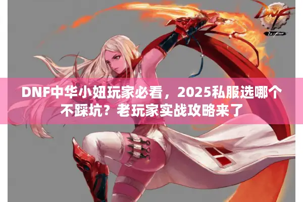 DNF中华小妞玩家必看，2025私服选哪个不踩坑？老玩家实战攻略来了
