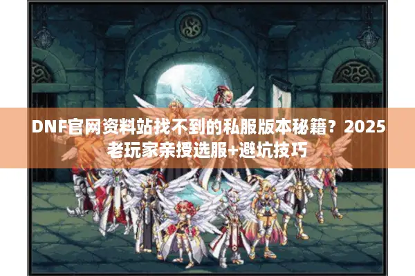 DNF官网资料站找不到的私服版本秘籍？2025老玩家亲授选服+避坑技巧