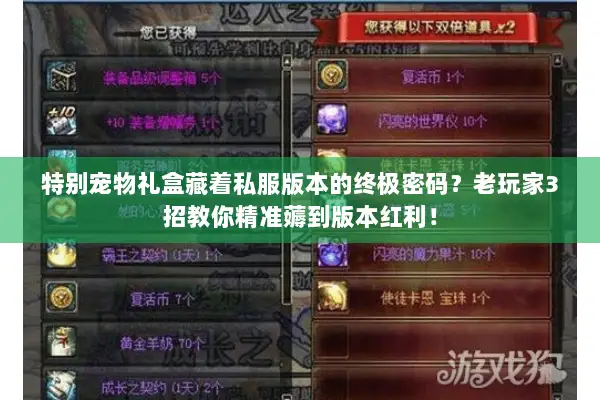 特别宠物礼盒藏着私服版本的终极密码？老玩家3招教你精准薅到版本红利！