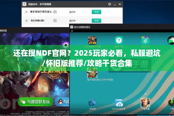 还在搜NDF官网？2025玩家必看，私服避坑/怀旧版推荐/攻略干货合集