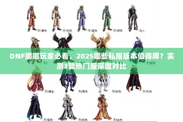 DNF娜娜玩家必看，2025哪些私服版本值得蹲？实测3款热门服深度对比