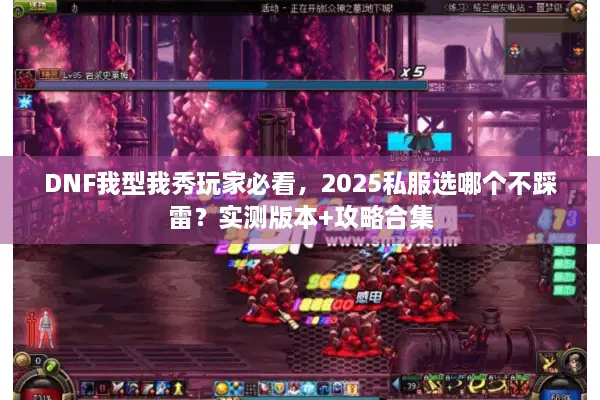 DNF我型我秀玩家必看，2025私服选哪个不踩雷？实测版本+攻略合集