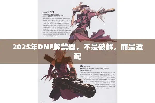 2025年DNF解禁器，不是破解，而是适配