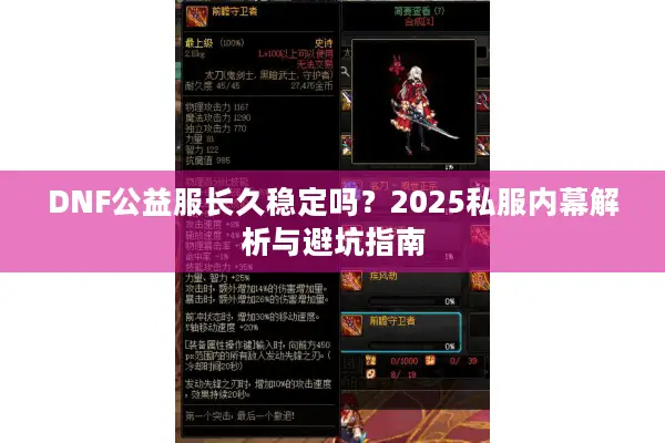 DNF公益服长久稳定吗？2025私服内幕解析与避坑指南