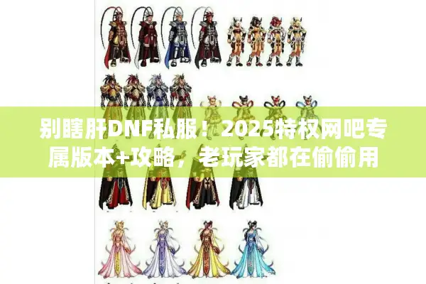 别瞎肝DNF私服！2025特权网吧专属版本+攻略，老玩家都在偷偷用