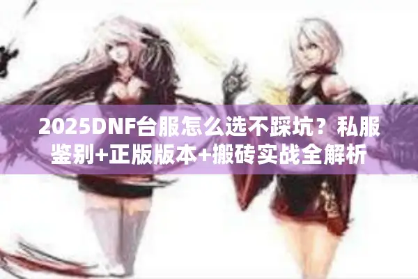 2025DNF台服怎么选不踩坑？私服鉴别+正版版本+搬砖实战全解析