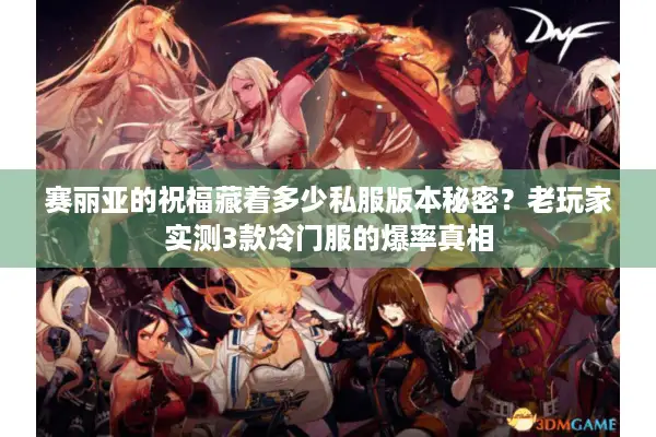 赛丽亚的祝福藏着多少私服版本秘密？老玩家实测3款冷门服的爆率真相