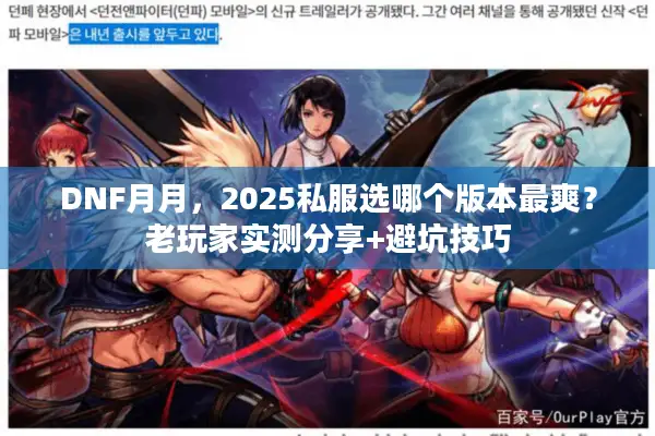 DNF月月，2025私服选哪个版本最爽？老玩家实测分享+避坑技巧