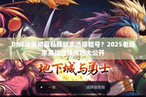 DNF动画暗藏私服版本选择暗号？2025老玩家实战选服技巧大公开