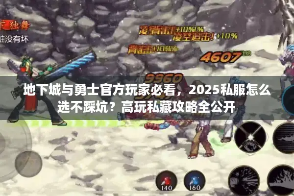 地下城与勇士官方玩家必看，2025私服怎么选不踩坑？高玩私藏攻略全公开