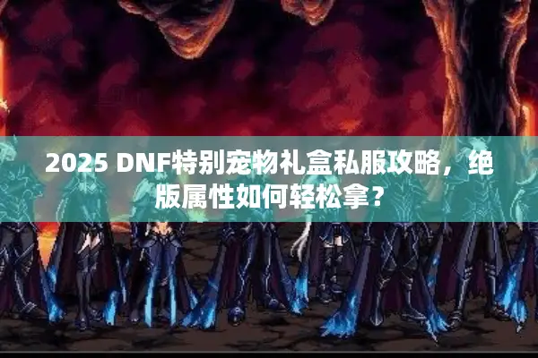 2025 DNF特别宠物礼盒私服攻略，绝版属性如何轻松拿？