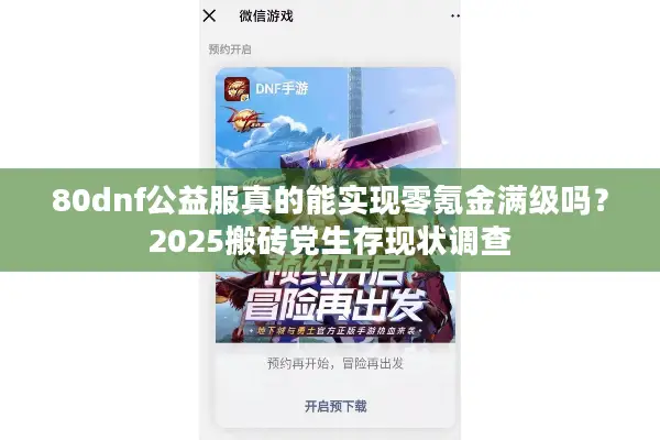 80dnf公益服真的能实现零氪金满级吗？2025搬砖党生存现状调查