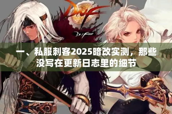 一、私服刺客2025暗改实测，那些没写在更新日志里的细节