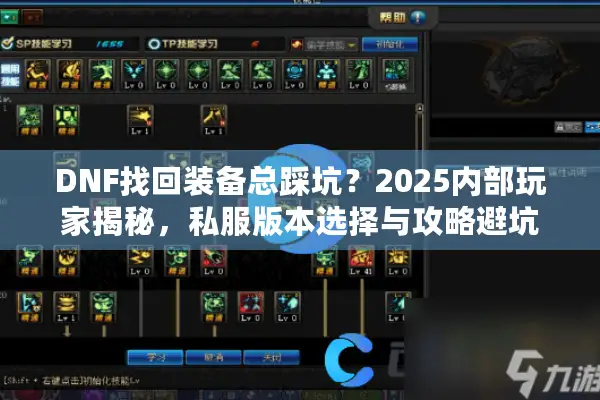 DNF找回装备总踩坑？2025内部玩家揭秘，私服版本选择与攻略避坑