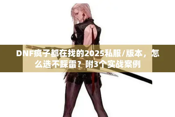 DNF疯子都在找的2025私服/版本，怎么选不踩雷？附3个实战案例