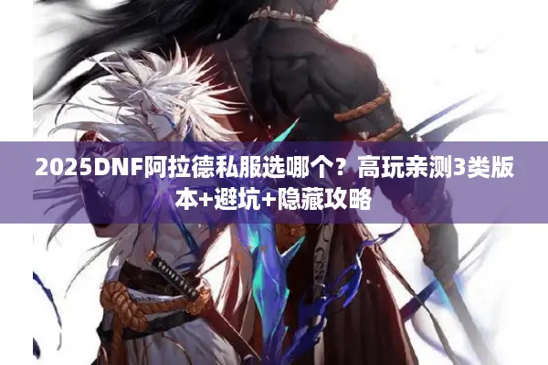 2025DNF阿拉德私服选哪个？高玩亲测3类版本+避坑+隐藏攻略