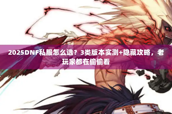 2025DNF私服怎么选？3类版本实测+隐藏攻略，老玩家都在偷偷看