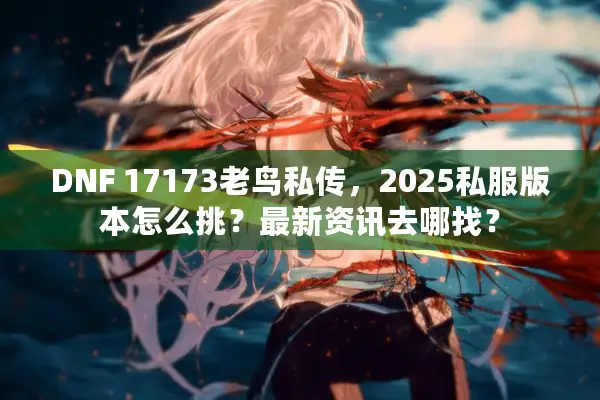 DNF 17173老鸟私传，2025私服版本怎么挑？最新资讯去哪找？