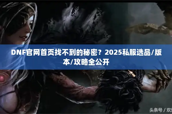 DNF官网首页找不到的秘密？2025私服选品/版本/攻略全公开