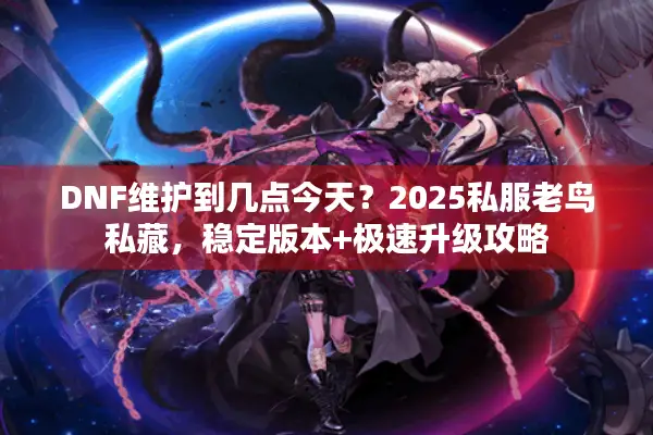 DNF维护到几点今天？2025私服老鸟私藏，稳定版本+极速升级攻略