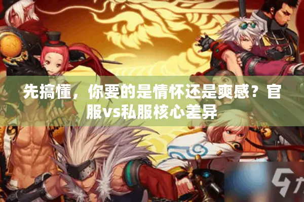 先搞懂，你要的是情怀还是爽感？官服vs私服核心差异