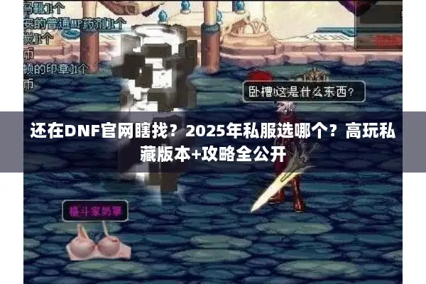 还在DNF官网瞎找？2025年私服选哪个？高玩私藏版本+攻略全公开