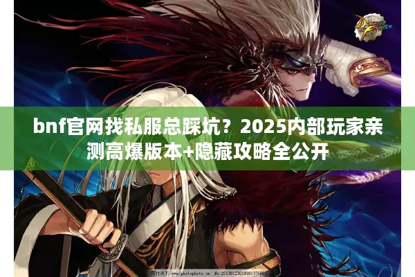 bnf官网找私服总踩坑？2025内部玩家亲测高爆版本+隐藏攻略全公开