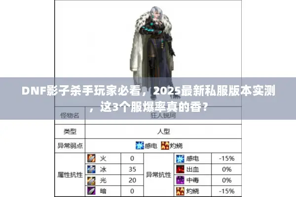 DNF影子杀手玩家必看，2025最新私服版本实测，这3个服爆率真的香？