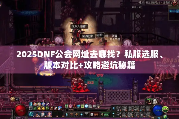 2025DNF公会网址去哪找？私服选服、版本对比+攻略避坑秘籍
