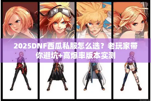 2025DNF西瓜私服怎么选？老玩家带你避坑+高爆率版本实测