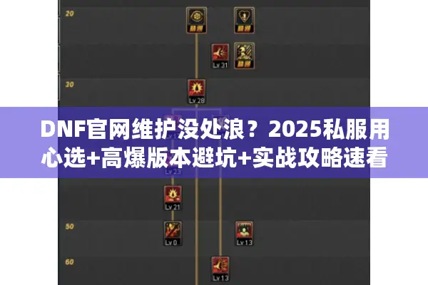 DNF官网维护没处浪？2025私服用心选+高爆版本避坑+实战攻略速看！
