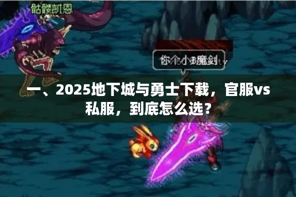 一、2025地下城与勇士下载，官服vs私服，到底怎么选？