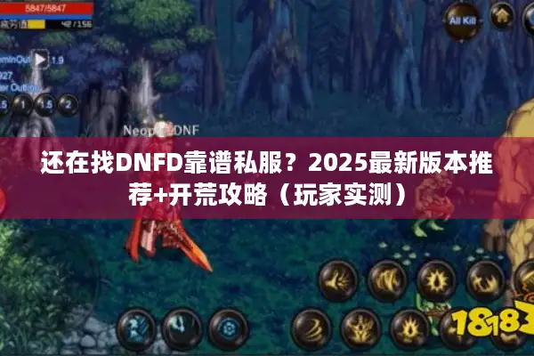 还在找DNFD靠谱私服？2025最新版本推荐+开荒攻略（玩家实测）