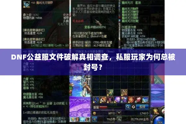 DNF公益服文件破解真相调查，私服玩家为何总被封号？