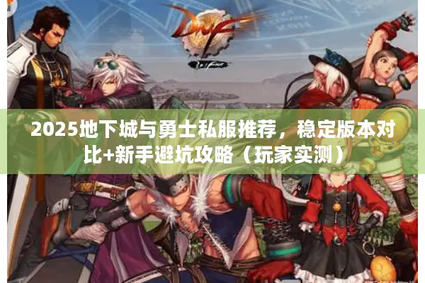 2025地下城与勇士私服推荐，稳定版本对比+新手避坑攻略（玩家实测）