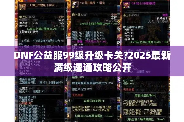 DNF公益服99级升级卡关?2025最新满级速通攻略公开