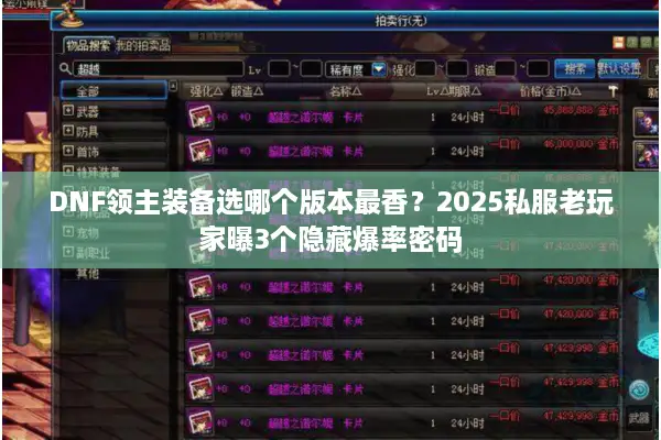 DNF领主装备选哪个版本最香？2025私服老玩家曝3个隐藏爆率密码