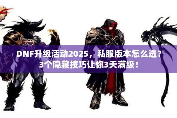 DNF升级活动2025，私服版本怎么选？3个隐藏技巧让你3天满级！
