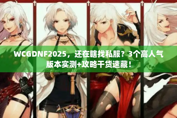 WCGDNF2025，还在瞎找私服？3个高人气版本实测+攻略干货速藏！