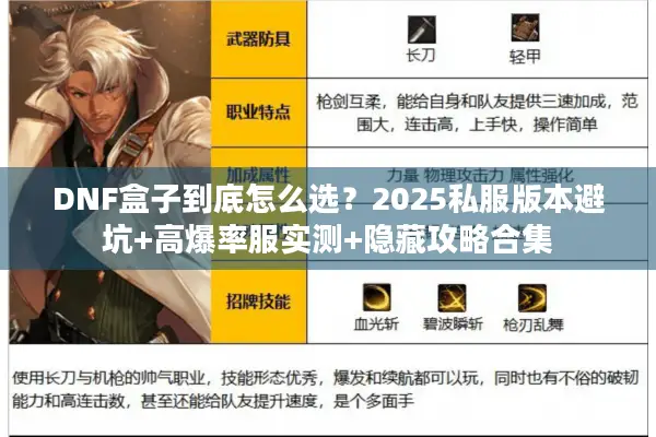 DNF盒子到底怎么选？2025私服版本避坑+高爆率服实测+隐藏攻略合集