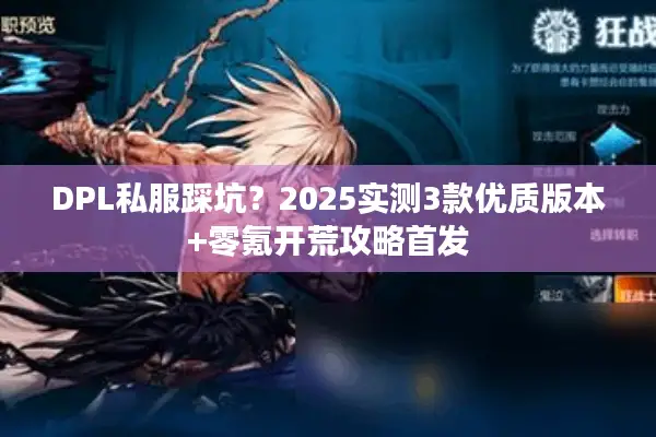 DPL私服踩坑？2025实测3款优质版本+零氪开荒攻略首发