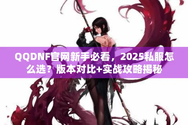 QQDNF官网新手必看，2025私服怎么选？版本对比+实战攻略揭秘