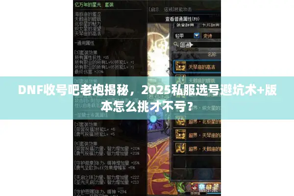 DNF收号吧老炮揭秘，2025私服选号避坑术+版本怎么挑才不亏？