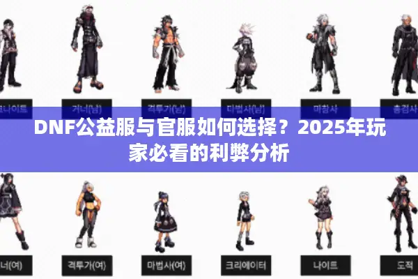 DNF公益服与官服如何选择？2025年玩家必看的利弊分析
