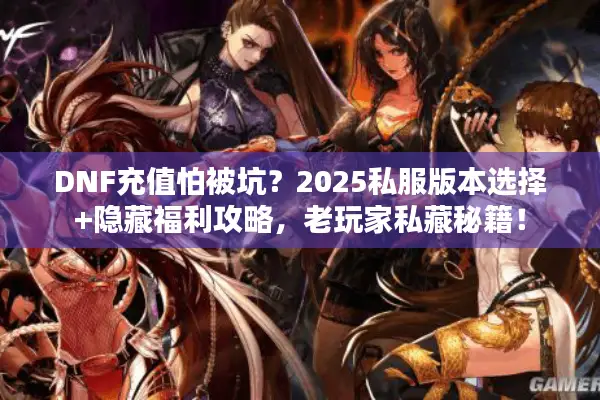 DNF充值怕被坑？2025私服版本选择+隐藏福利攻略，老玩家私藏秘籍！